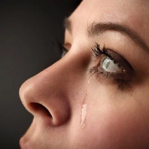 عکس های گریه / بهترین تصاویر گریه [پیشنهادی] | تاوعکس