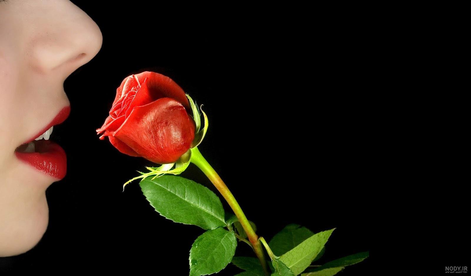 عکس گل در دست عکس گل در دست