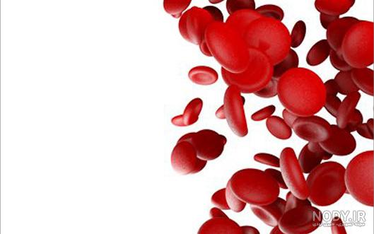 قاب عکس طرح مفهومی اصلاح ژنتیک - یاسی بیو قاب عکس طرح مفهومی اصلاح ژنتیک - یاسی بیو