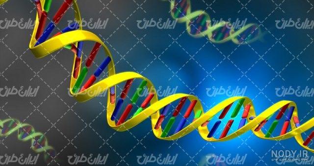 پس زمینه طراحی با طرح DNA | تیک طرح مرجع گرافیک ایران پس زمینه طراحی با طرح DNA | تیک طرح مرجع گرافیک ایران
