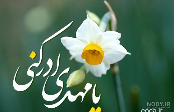 کلیپ و عکس استوری نیمه شعبان ١۴٠٠ خاص و زیبا - ستاره کلیپ و عکس استوری نیمه شعبان ١۴٠٠ خاص و زیبا - ستاره