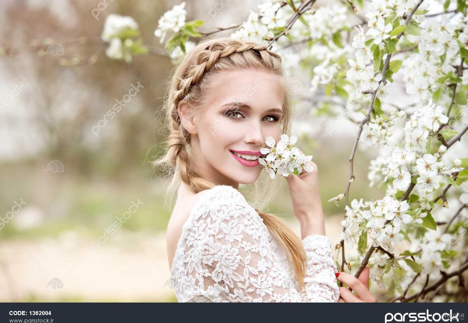 گل تاج خروس رشته ای| نحوه کاشت و نگهداری تاج خروس رشته اي گل تاج خروس رشته ای| نحوه کاشت و نگهداری تاج خروس رشته اي