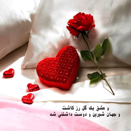 آلبوم عکس گلهای زیبا برای پروفایل 2019 جدید - تــــــــوپ تـــــــــاپ آلبوم عکس گلهای زیبا برای پروفایل 2019 جدید - تــــــــوپ تـــــــــاپ