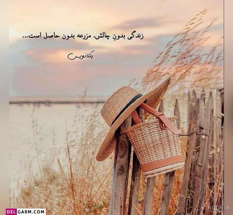 اسکرین‌شات‌گرفتن از عکس پروفایل واتساپ غیرممکن می‌شود - زومیت