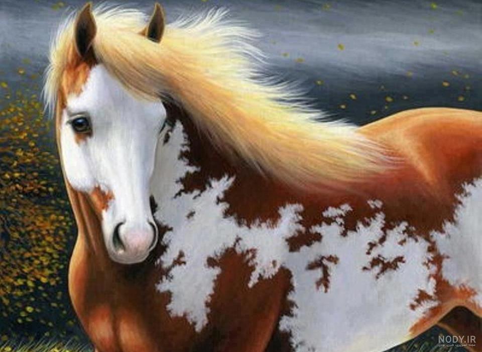 تصاویر و عکس اسب زیبا برای پروفایل | اسب اصیل ایرانی و خارجی تصاویر و عکس اسب زیبا برای پروفایل | اسب اصیل ایرانی و خارجی