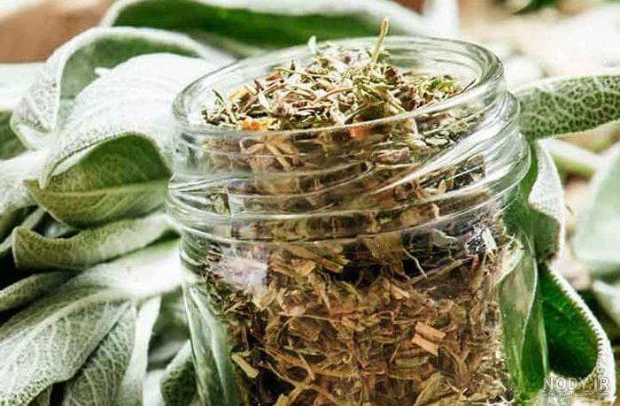 عکس های زیبا از گل مریم با کیفیت بالا