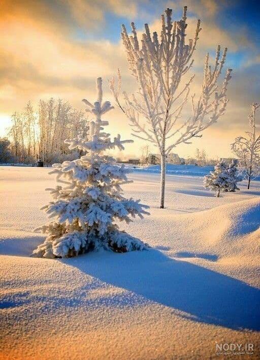 عکس زیبای زمستان