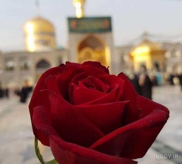 عکس صلوات با گل نرگس عکس صلوات با گل نرگس