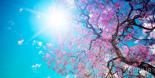 عکس های طبیعت فول اچ دی