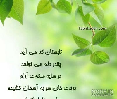 عکس ظهر تابستانی