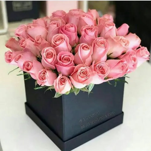 عکس ظهرتون بخیر