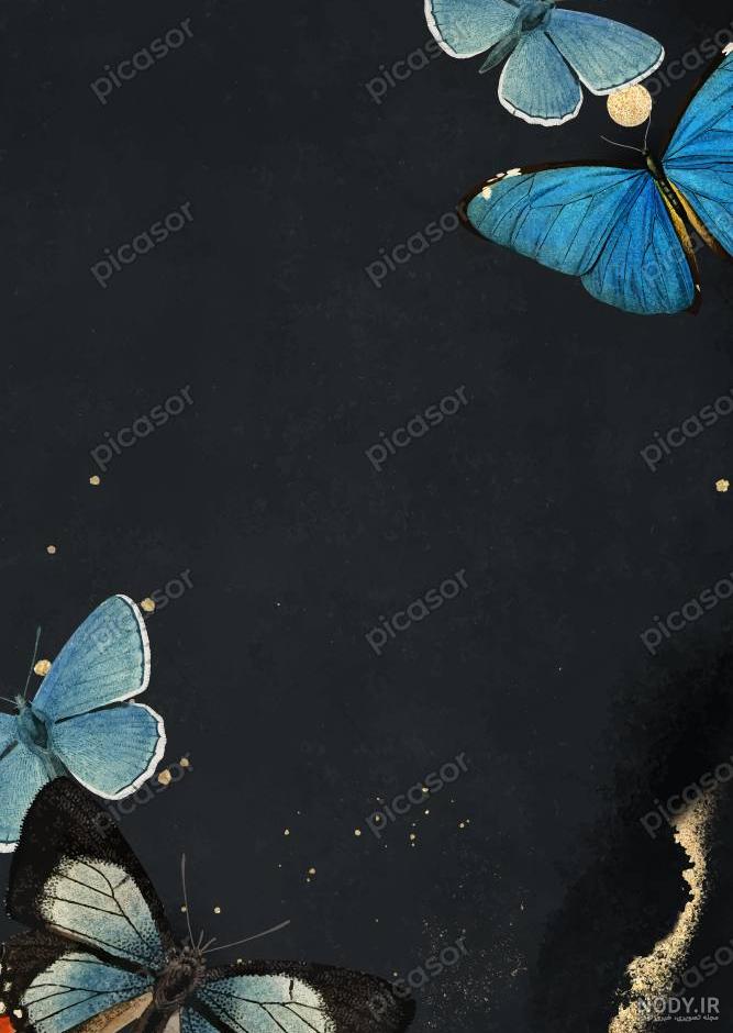 عکس پروانه فانتزی برای پروفایل عکس پروانه فانتزی برای پروفایل