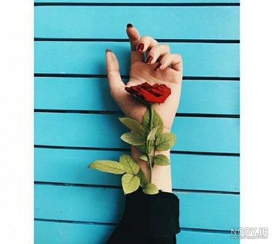 عکس پروفایل دخترونه، ۷۰ عکس شیک، لاکچری، فانتزی و خفن برای پروفایل - ستاره