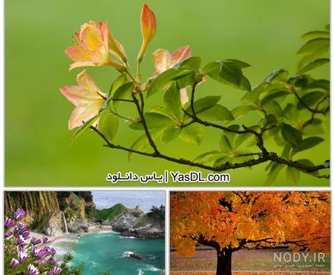 عکسهای طبیعت زیبا و بکر با کیفیت بسیار بالا