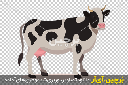 فرارو | (تصاویر) بزرگترین واحد پرورش گاو شیری شمال کشور
