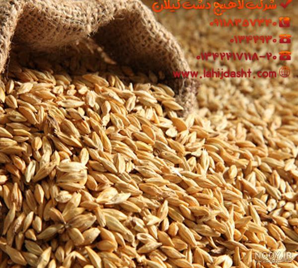 5 خواص برنج ایرانی - فروشگاه اینترنتی اوناتس 5 خواص برنج ایرانی - فروشگاه اینترنتی اوناتس