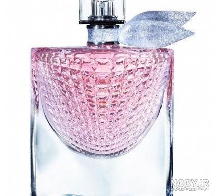 13 عطر زنانه با بوی گل یاس (معرفی پرفروش های جهان) | مندلیف 13 عطر زنانه با بوی گل یاس (معرفی پرفروش های جهان) | مندلیف