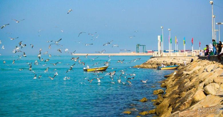 20 مورد از زیباترین سواحل جنوب ایران که نباید از دست داد! - روم تور مگ 20 مورد از زیباترین سواحل جنوب ایران که نباید از دست داد! - روم تور مگ