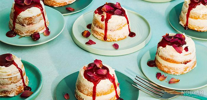 60 نوع طرز تهیه کیک خوشمزه؛ با فوت و فن‌های پخت