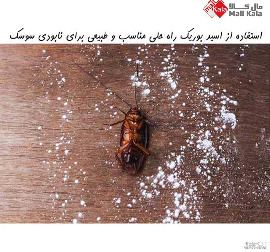 اسباب بازی سوسک کنترلی - فروشگاه اینترنتی کودک و نوجوان آریاکید