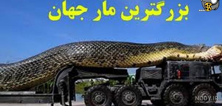 ترسناک ترین مارهای دنیا +تصاویر - جهان نيوز