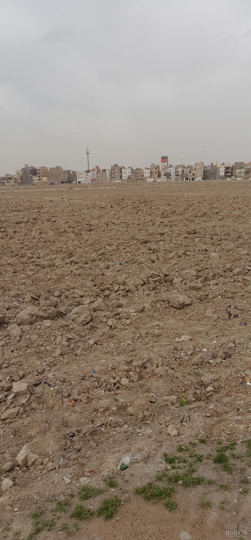 تصویر با کیفیت مزرعه سبزیجات در تابستان تصویر با کیفیت مزرعه سبزیجات در تابستان