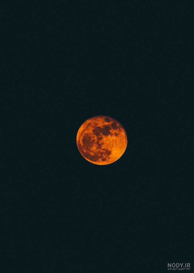 تصویر پس زمینه ی ماهی