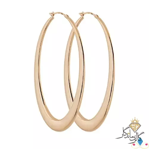 خرید گوشواره حلقه ای طلا کد CE395 | مشخصات ، مقایسه، قیمت و خرید گوشواره  آویزی