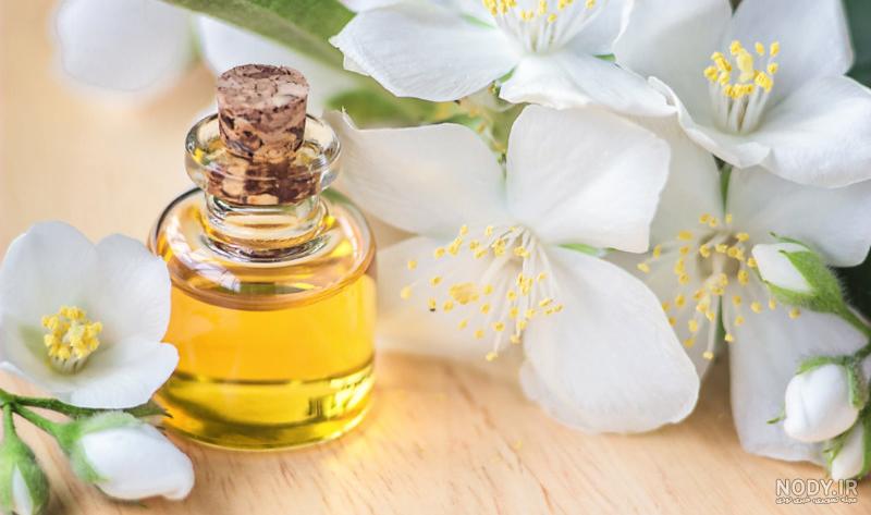 دانلود عکس با کیفیت عطر و گل محمدی | تیک طرح مرجع گرافیک ایران دانلود عکس با کیفیت عطر و گل محمدی | تیک طرح مرجع گرافیک ایران