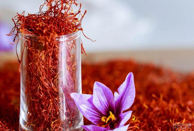 زعفران آذربایجان غربی سفید است! - ایسنا