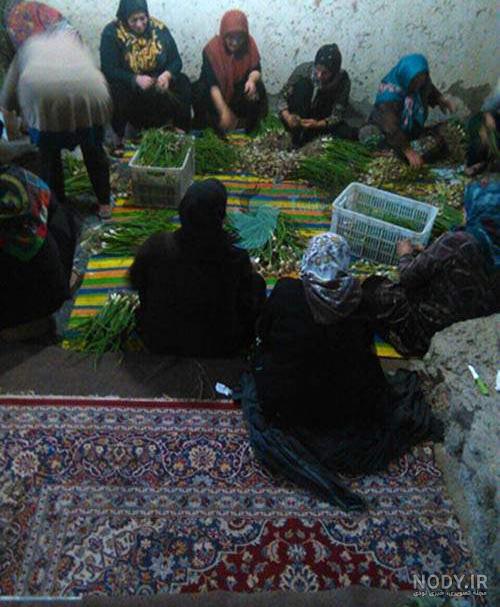 سوتی لیزر بیکینی نی نی سایت سوتی لیزر بیکینی نی نی سایت