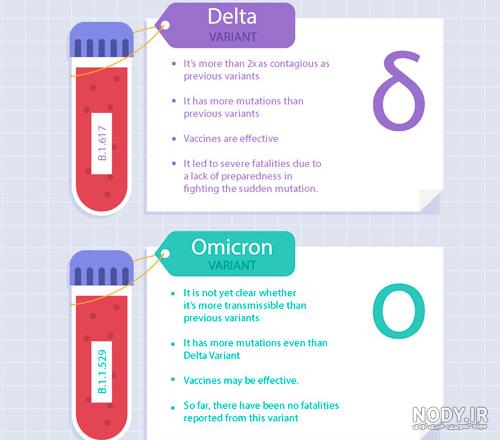 عکس با کیفیت ویروس کرونا - پیکسه عکس با کیفیت ویروس کرونا - پیکسه
