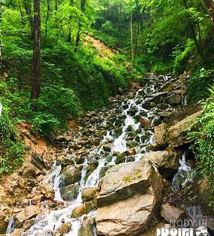 عکس های خانوادگی آب پری