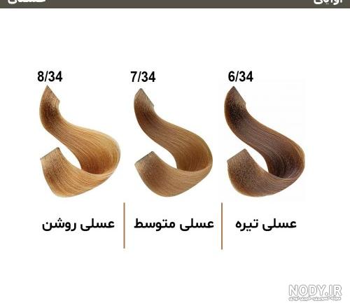 عکس رنگ موی بلوند عسلی تیره عکس رنگ موی بلوند عسلی تیره