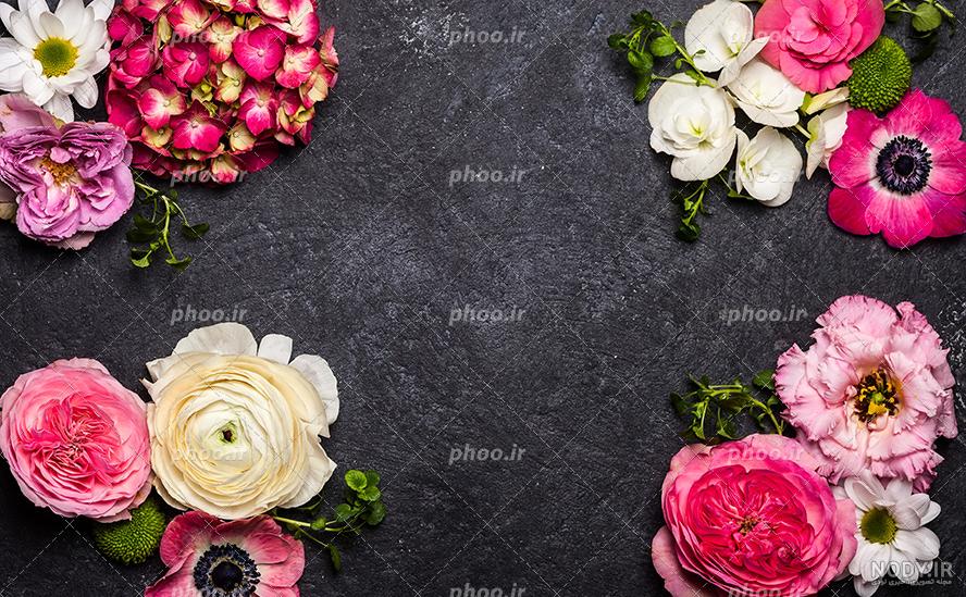 عکس های زیبا گل ها