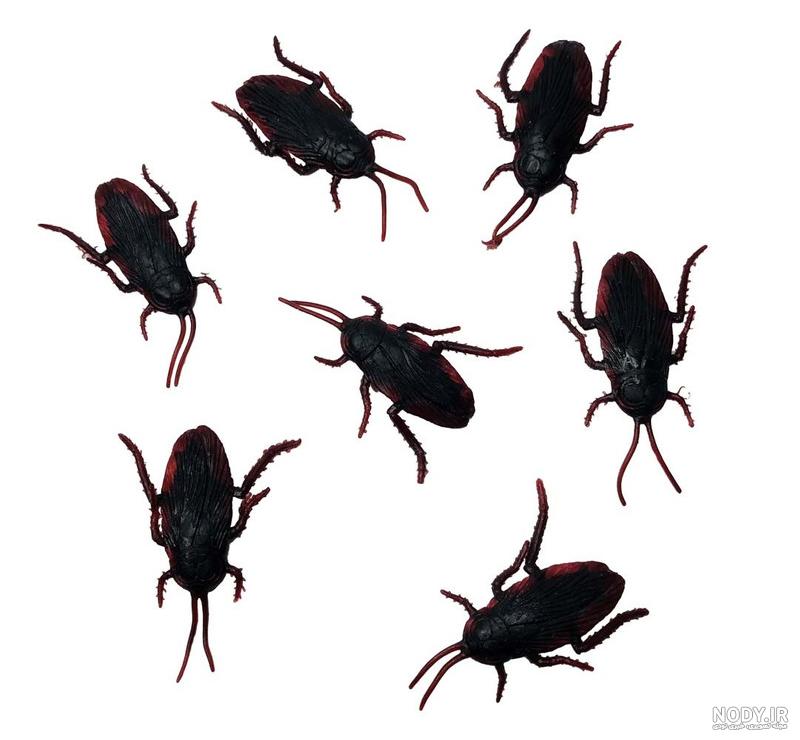 عکس سوسک پلاستیکی کنترلی