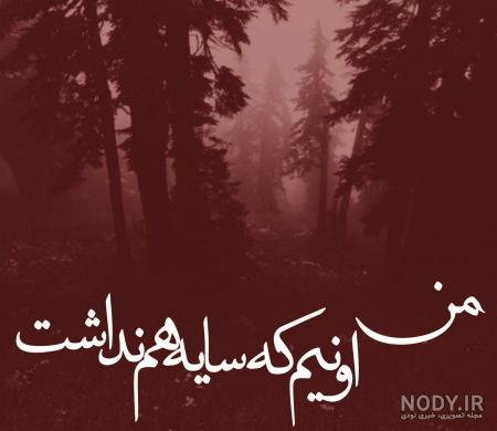 عکس شیر پروفایل پسرانه - عکس نودی عکس شیر پروفایل پسرانه - عکس نودی