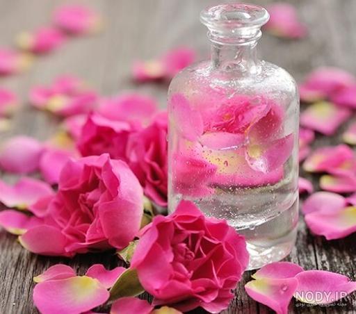 عکس عطر گل محمدی عکس عطر گل محمدی