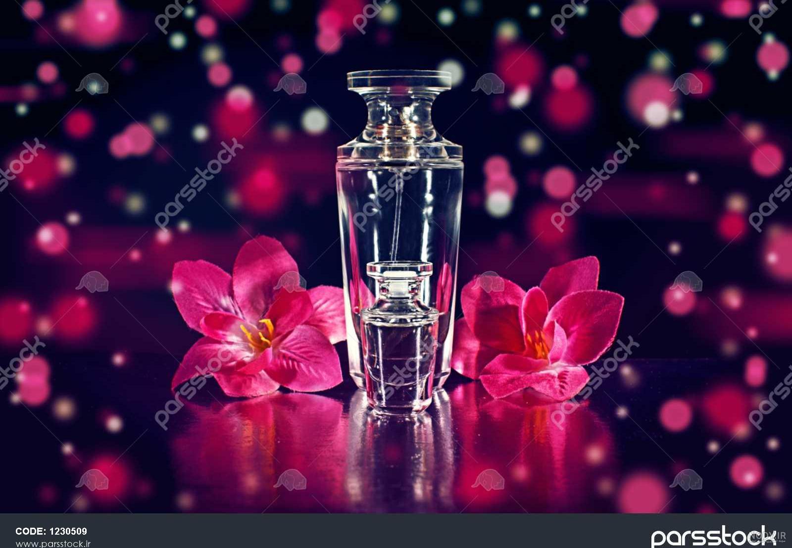 عکس عطر گل مریم عکس عطر گل مریم