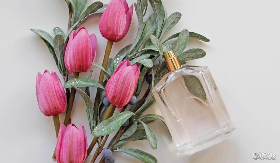 عکس عطر گل یخ عکس عطر گل یخ