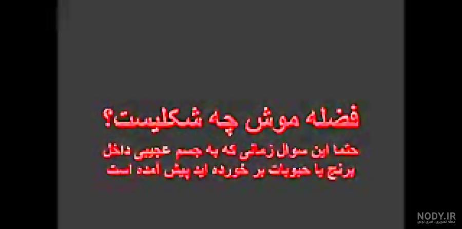 عکس فضله سوسک