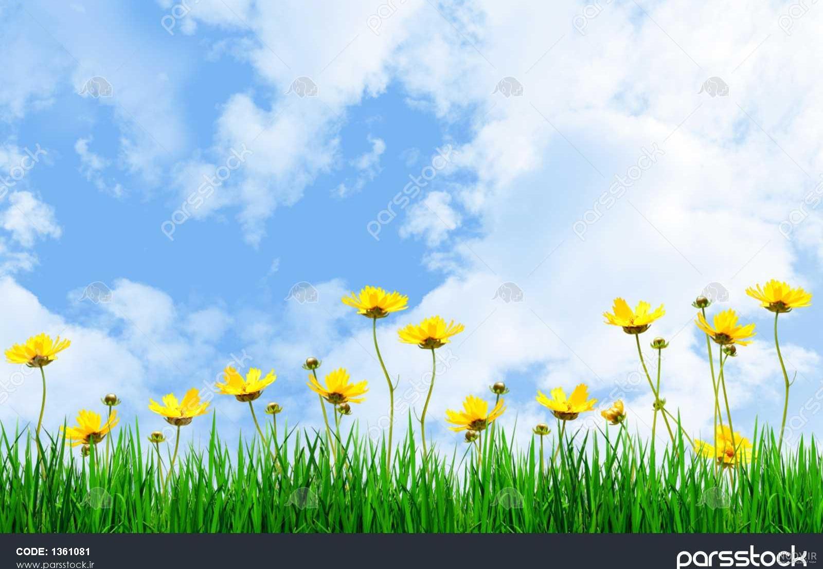 عکس نقاشی چمن ساده عکس نقاشی چمن ساده