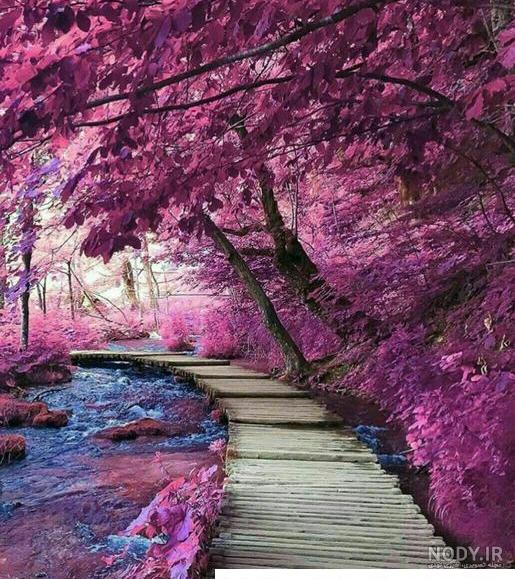 عکس نوشته خدا | عکس نوشته خدا با طرح های زیبا و دلنشین