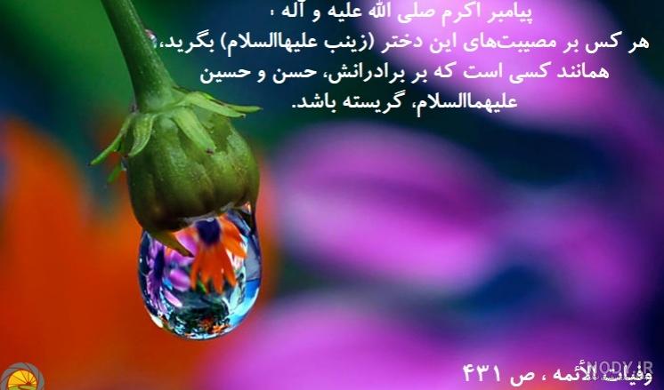 عکس نوشته پروفایل حضرت زینب س در کربلا با متن محرمی عکس نوشته پروفایل حضرت زینب س در کربلا با متن محرمی