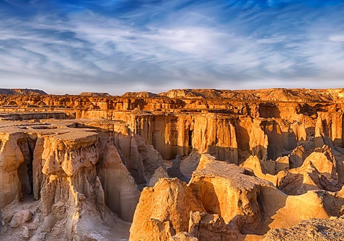 عکس پرندگان جنوب ایران عکس پرندگان جنوب ایران