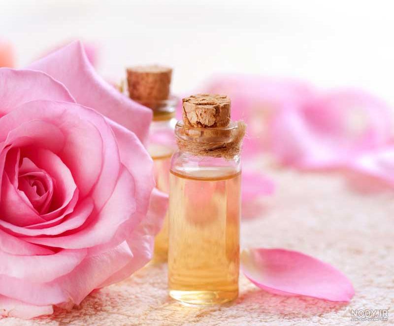 عکس گل عطر چای عکس گل عطر چای