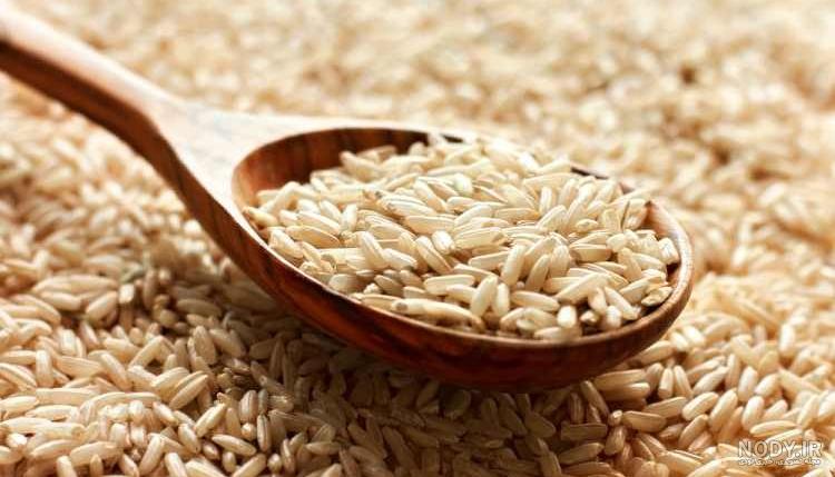قیمت روز برنج هاشمی درجه یک 1400 | برنج هاشمی ممتاز گیلان - درکام قیمت روز برنج هاشمی درجه یک 1400 | برنج هاشمی ممتاز گیلان - درکام