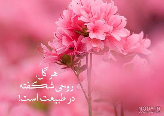 متن زیبا استوری + عکس نوشته زیبا استوری خاص حرف تازه متن زیبا استوری + عکس نوشته زیبا استوری خاص حرف تازه