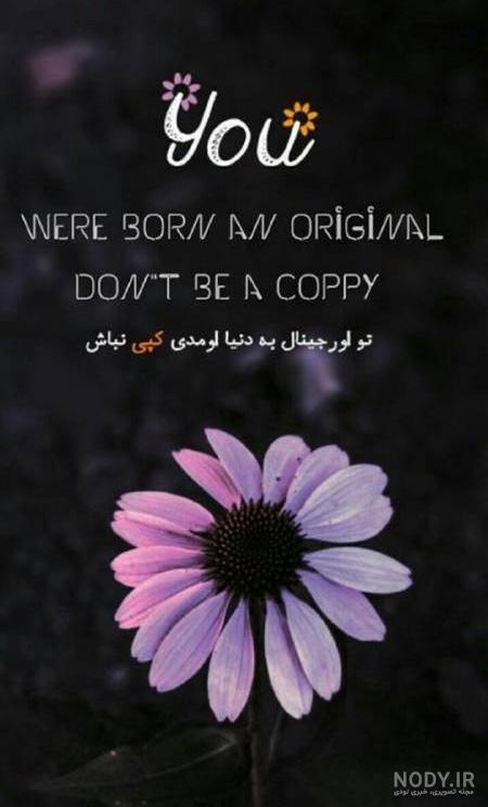 مجموعه پست های اینستاگرام برای اثبات گرایی با زن شاد 1562269 مجموعه پست های اینستاگرام برای اثبات گرایی با زن شاد 1562269