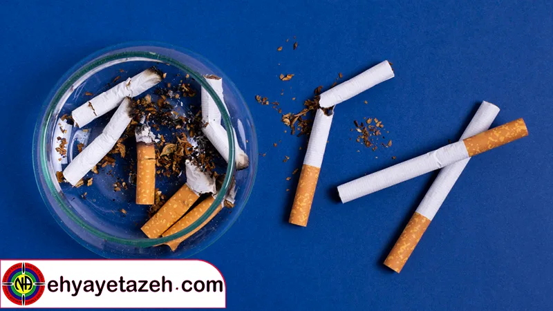 مشخصات محصول سیگار طعم‌دار وینستون | بازار آنلاین پروسیس